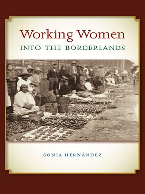 cover image of Working Women into the Borderlands